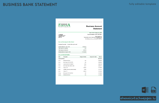 Fortuna Banque Geschäftserklärung (Word- und PDF-Format) – 1 Beispielvorschau